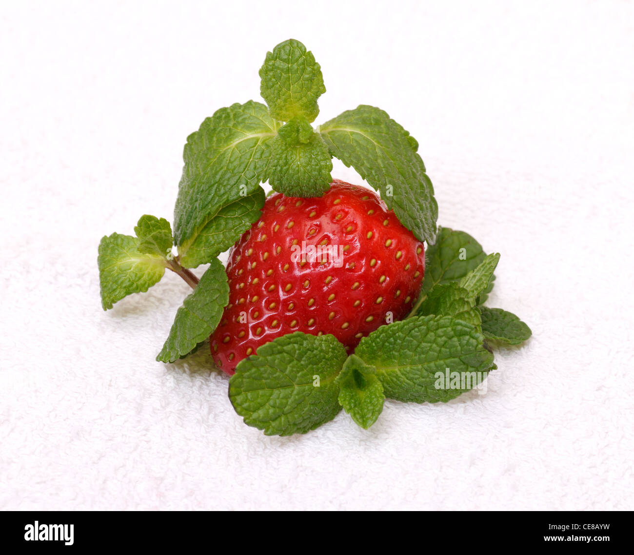 Erdbeeren mit Minze auf weißem Hintergrund Stockfoto