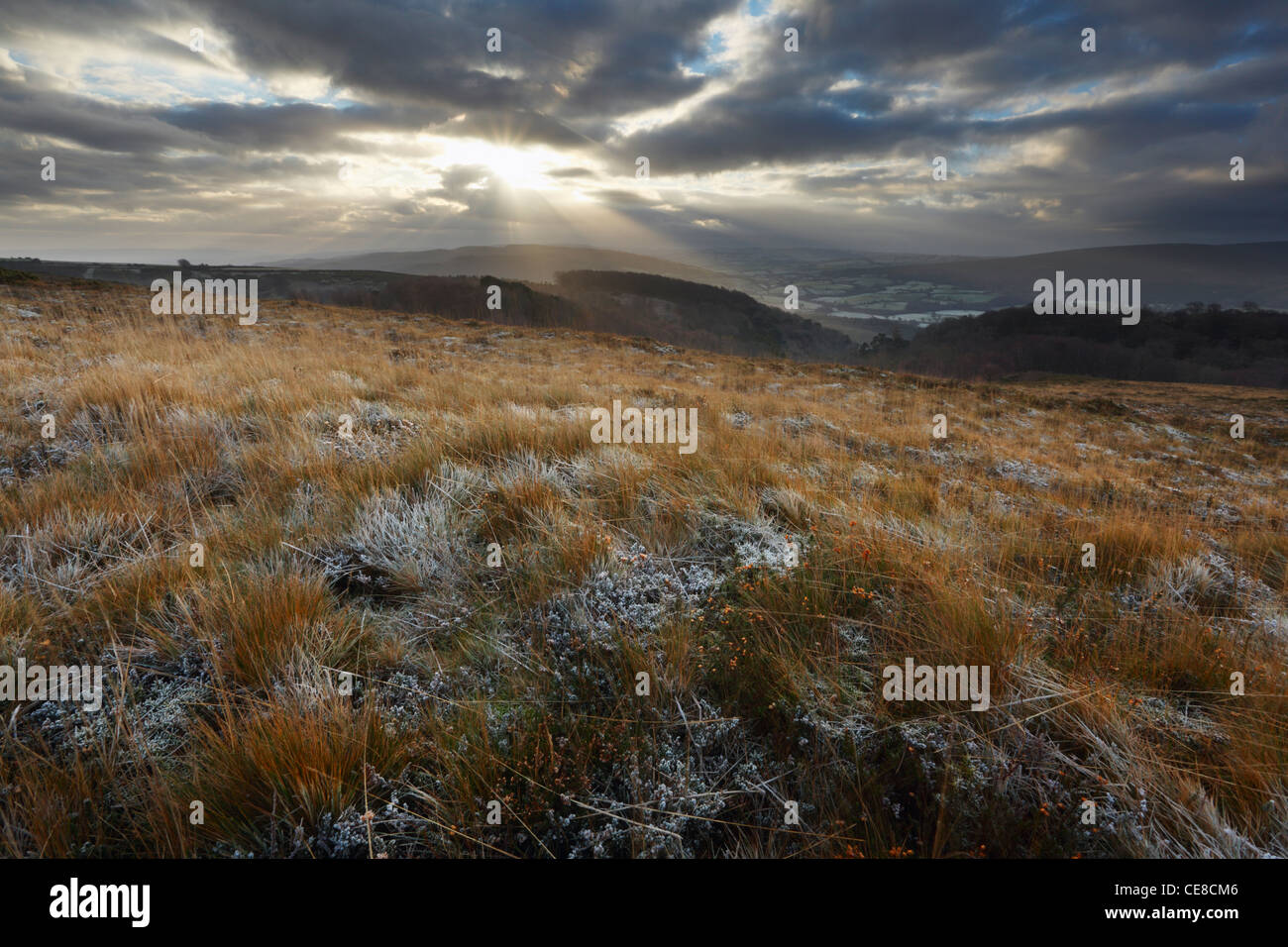 Selworthy Leuchtfeuer, Winter Sunrise. Holnicote Estate. Exmoor National Park. England. VEREINIGTES KÖNIGREICH. Stockfoto