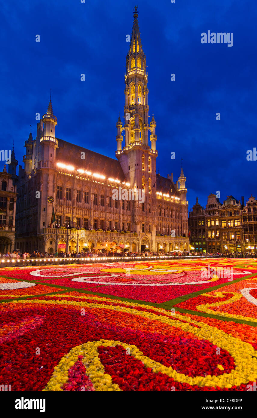 Brüssel Grand Place Brüssel Blumenteppich Brüssel Belgien EU Europa Stockfoto