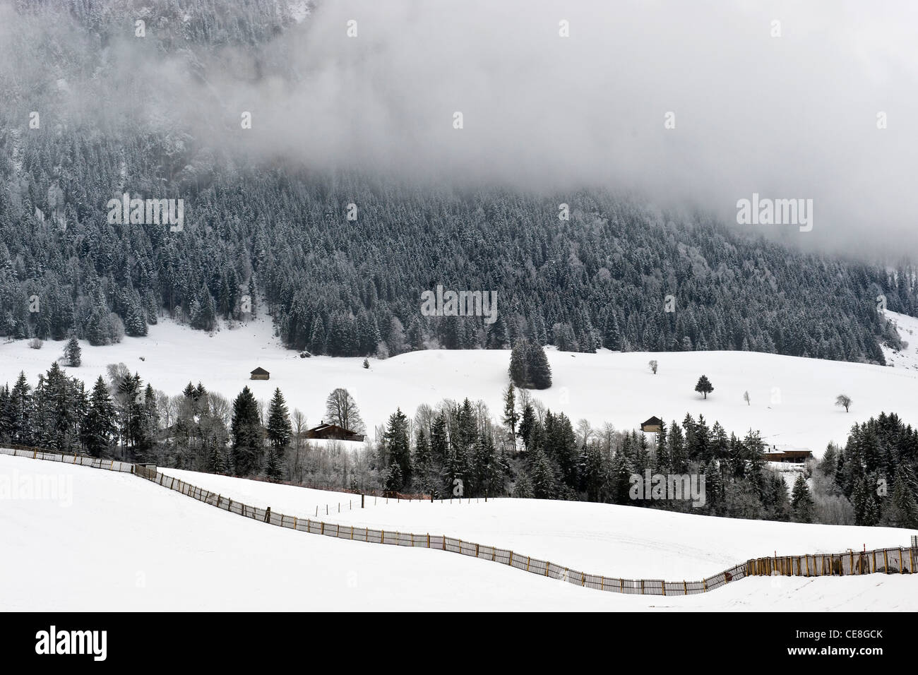 Landschaft, Chateau d ' Oex, Schweiz Stockfoto