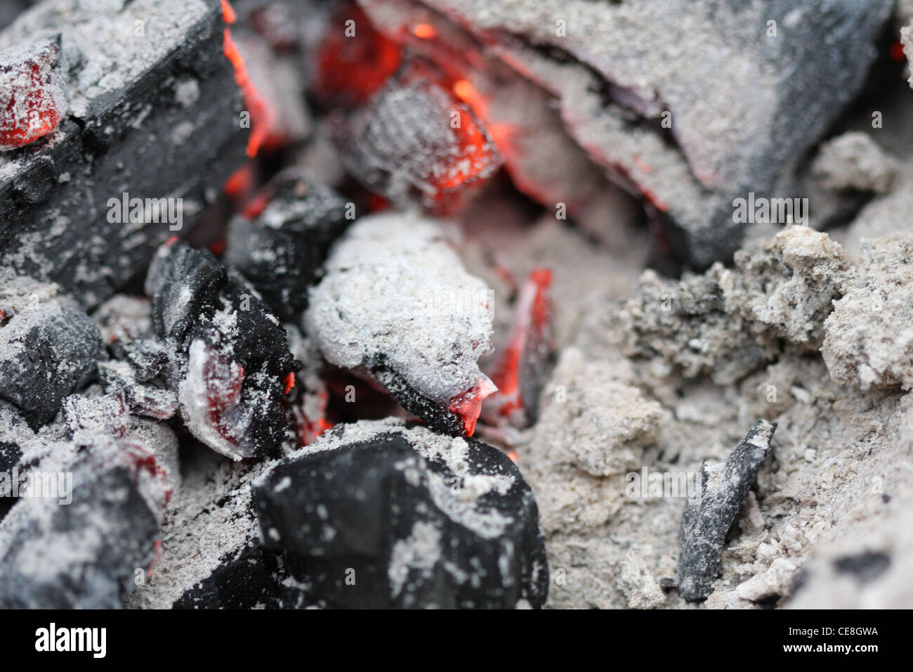 Wald Feuer. Stockfoto