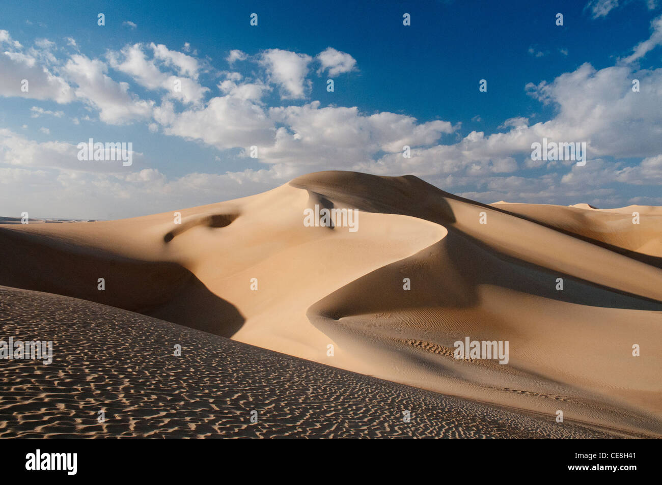 Gewundene Wind verwehten Dünen in das große Sandmeer, westliche Wüste, Ägypten Stockfoto