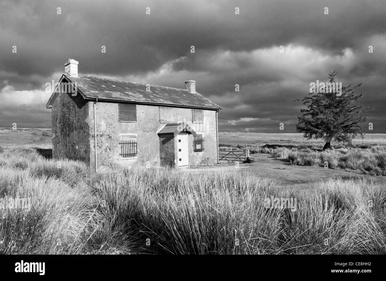 Schwarz / weiß Bild des isolierten Bauernhaus Nonnental Cross Farm auf Dartmoor, Devon UK Stockfoto