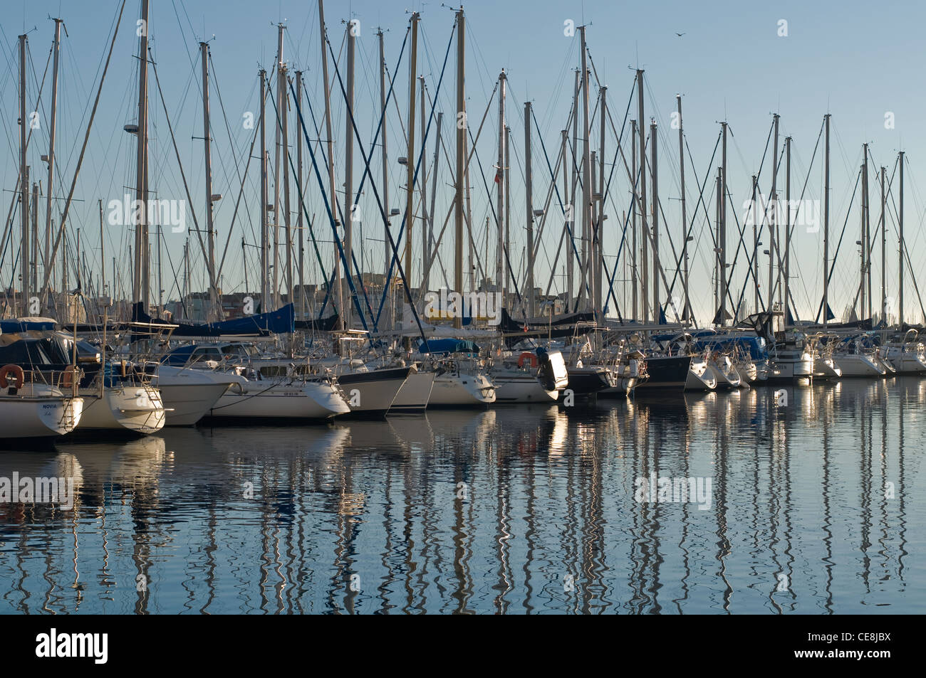 Boote mit Reflexionen im Zentrum Hafen von Cap d ' Agde, Herault, Languedoc, Frankreich, Europa Stockfoto