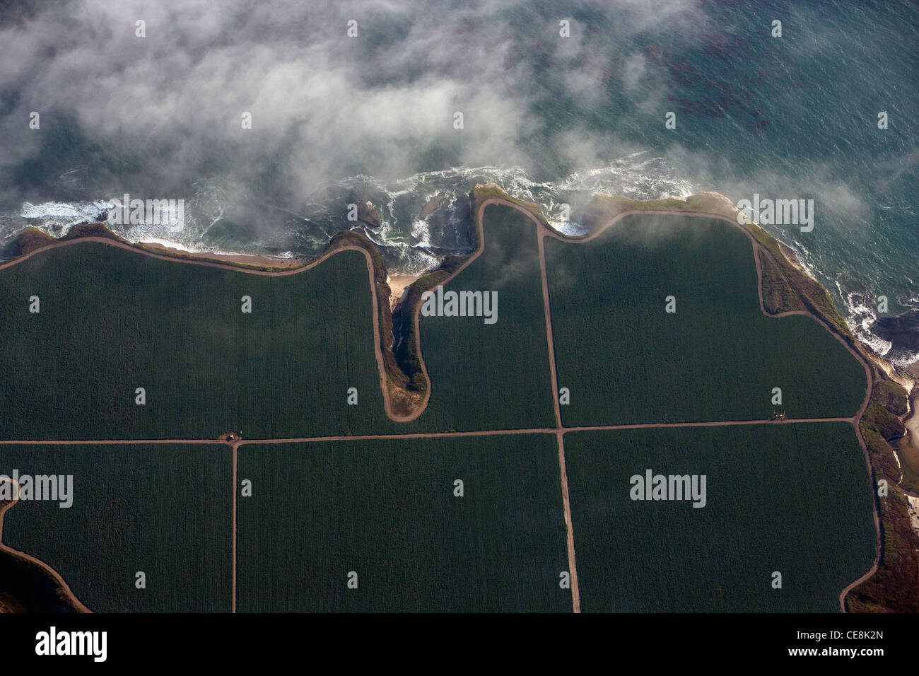 Luftaufnahme Landwirtschaft Küstenstadt Santa Cruz County, Kalifornien Stockfoto