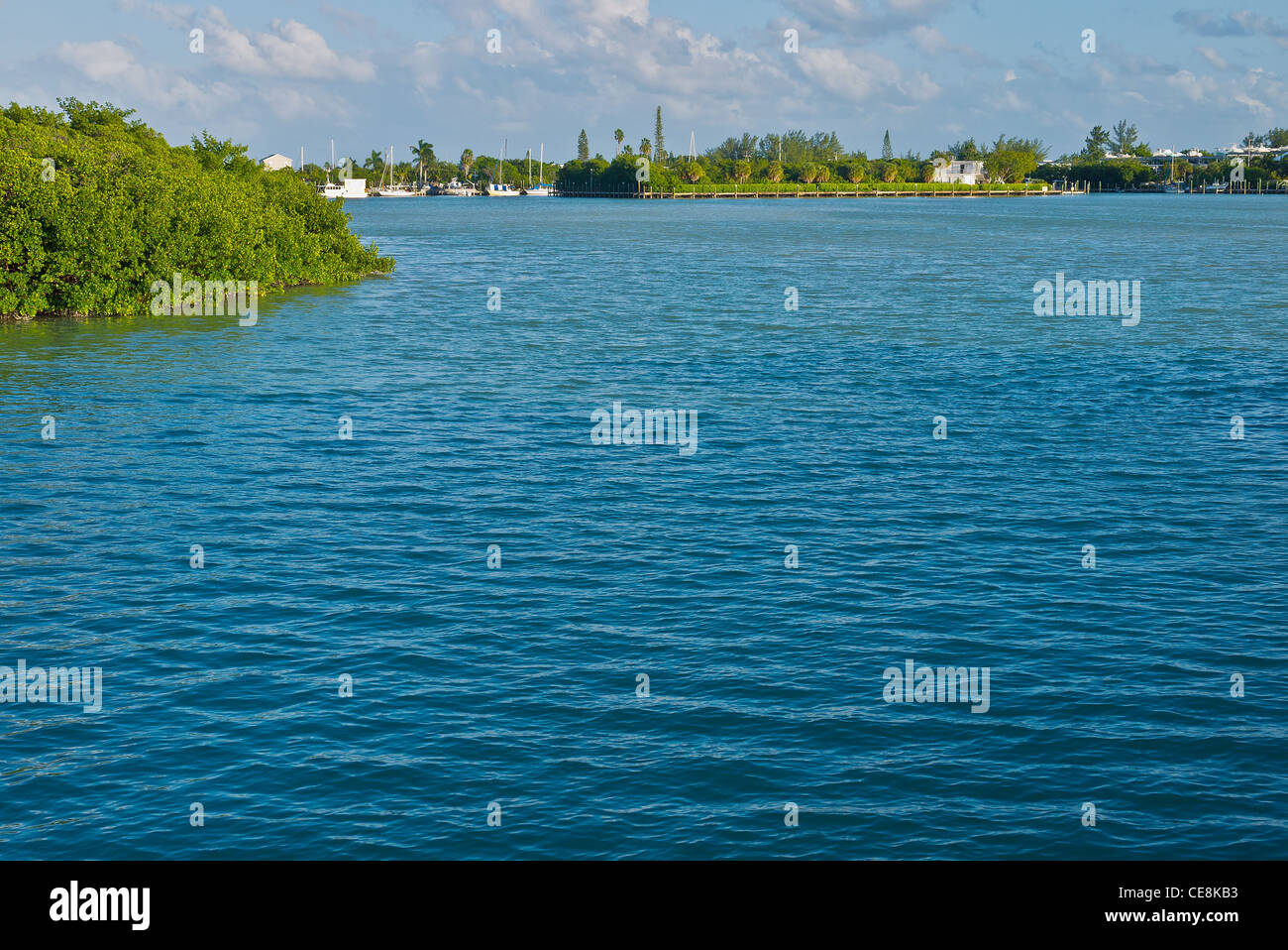 Wasser schafft textfreiraum in den Florida Keys Stockfoto