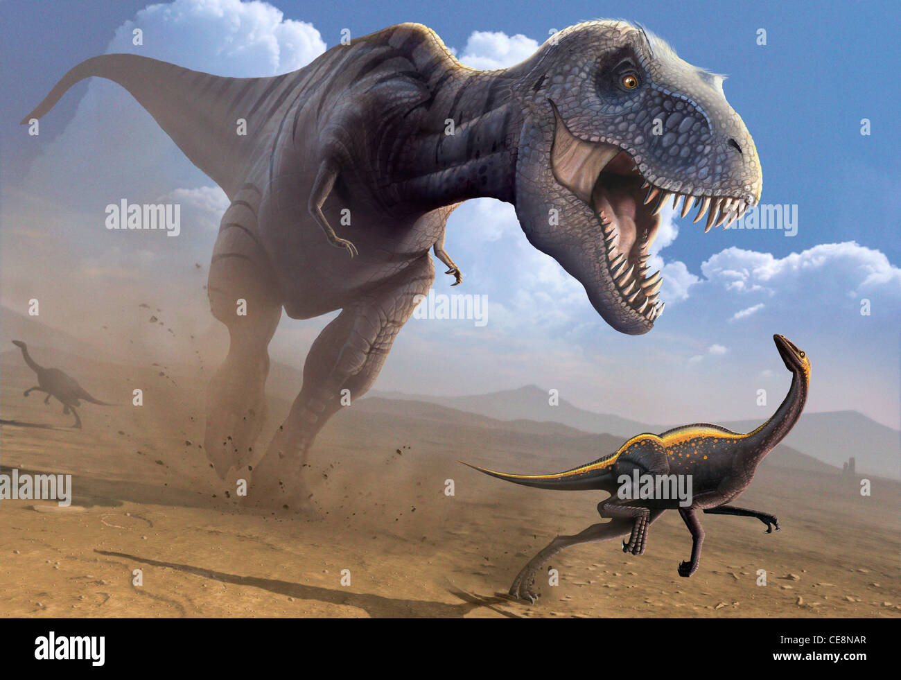 Computer Grafik Tyrannosaurus Rex Dinosaurier jagen Ornithomimus Dinosaurier T Rex unter den größten fleischfressenden Dinosaurier war, war es Stockfoto