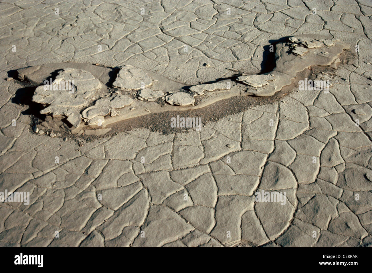 AMA 80621: Risse in Erde und Sand, die Künstler Supreme Stockfoto