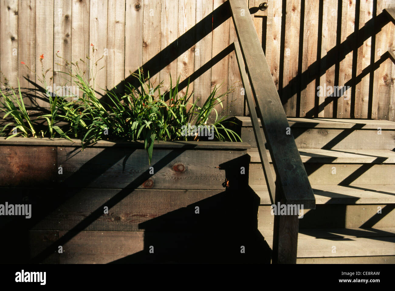 AMA 80623: Treppe Schritte Schatten, Mensch und Natur-Serie Stockfoto