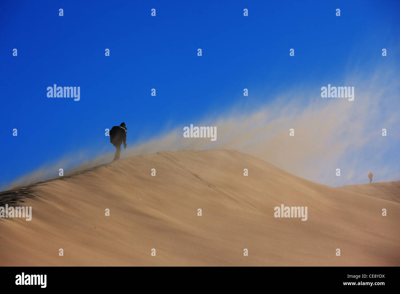 Desert Storm und die zwei einsamen Reisenden Stockfoto