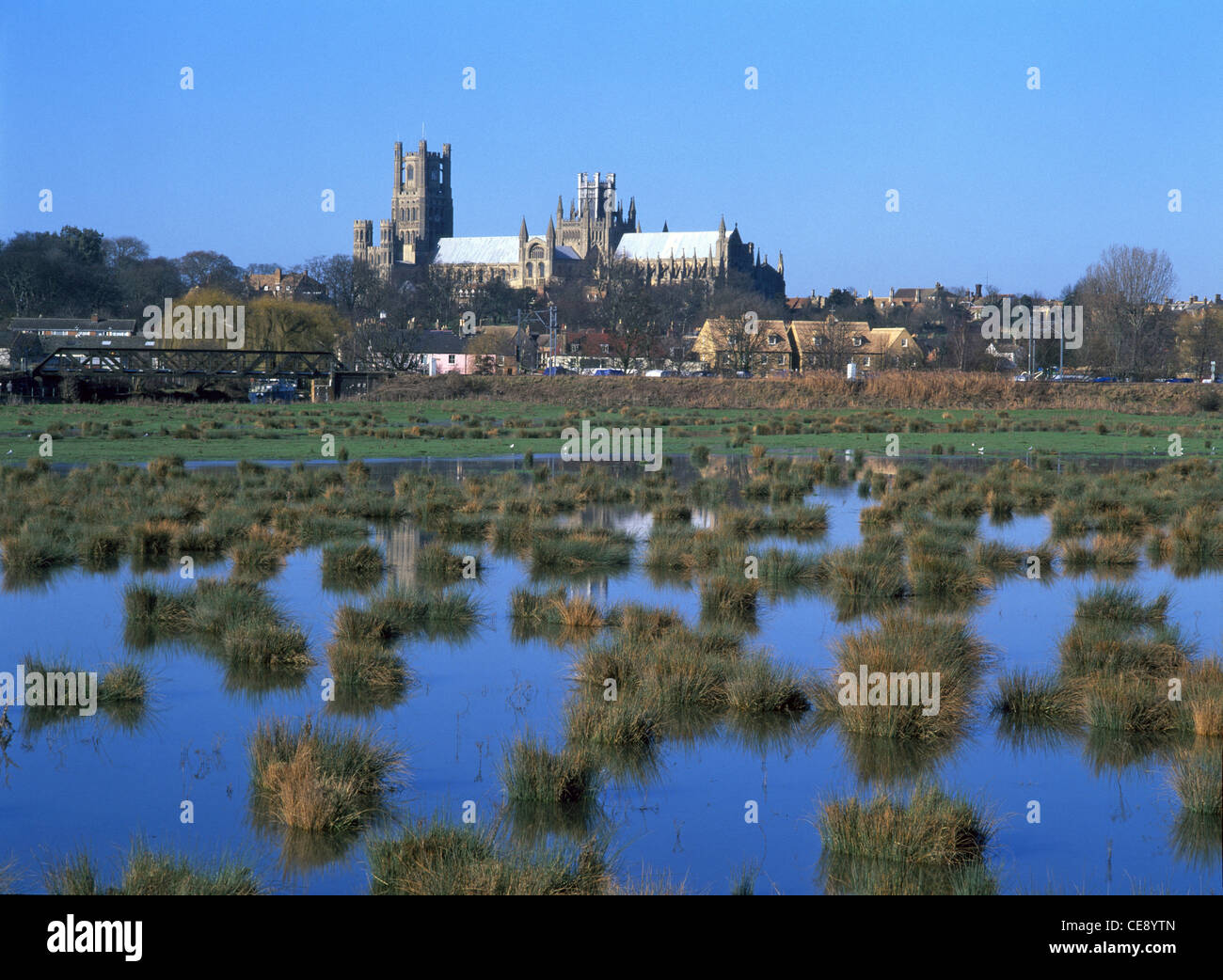 Ely Anglikanische Kathedrale South elevation Skyline über Landschaft des Flusses Great Ouse winter Überschwemmungsgebiet Feld unter Wasser Cambridgeshire East Anglia UK Stockfoto