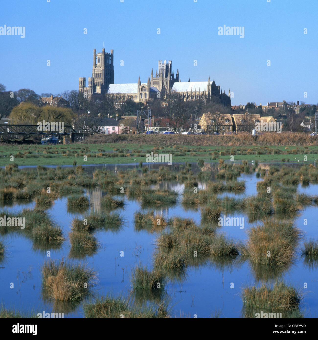 Ely Anglikanische Kathedrale South elevation Skyline über Landschaft des Flusses Great Ouse winter Überschwemmungsgebiet Feld unter Wasser Cambridgeshire East Anglia UK Stockfoto