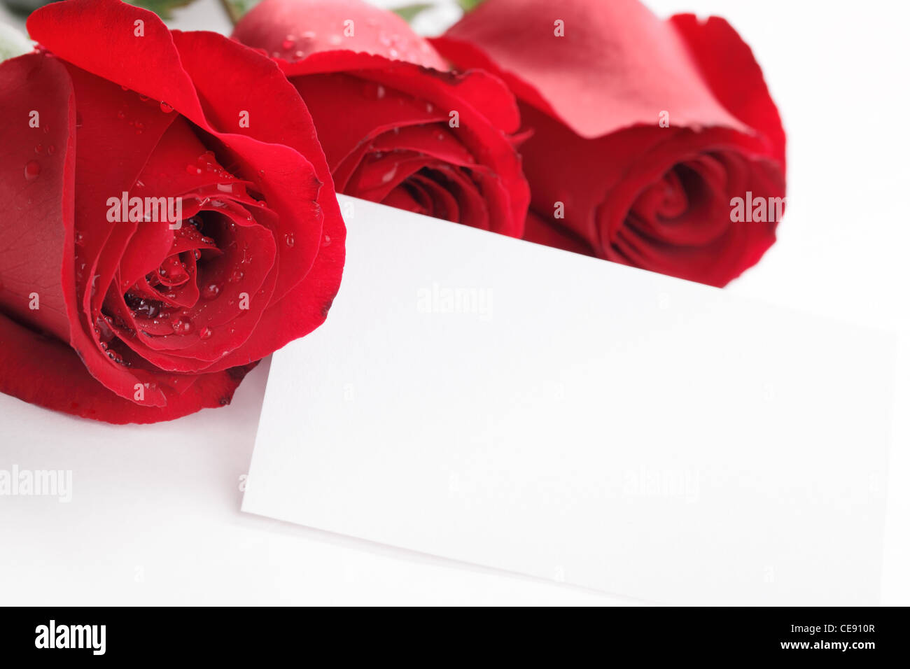 Rosen mit leere Karte Stockfoto