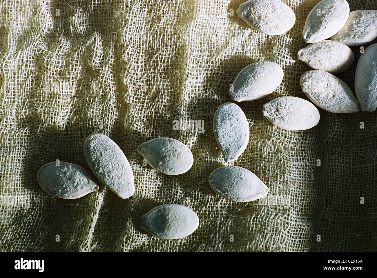 Schuss von getrockneten Samen auf Musselin Hintergrund hautnah Stockfoto