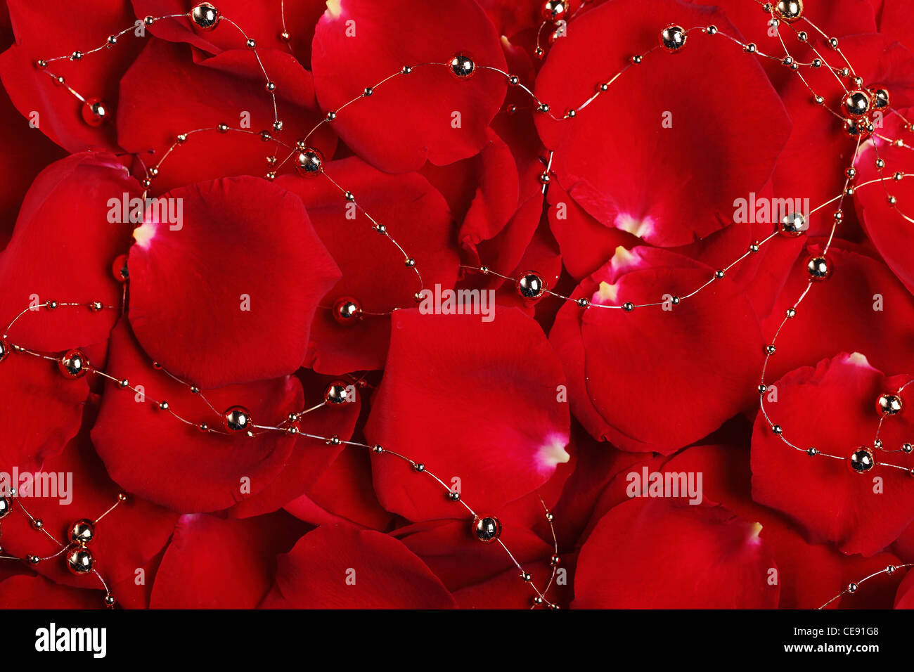 Roten Rosenblättern mit Perlen können als Hintergrund verwendet werden Stockfoto