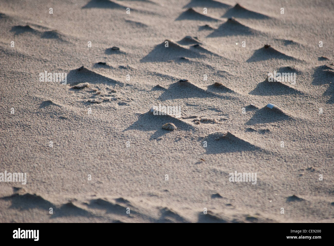 Sand-Formationen Stockfoto