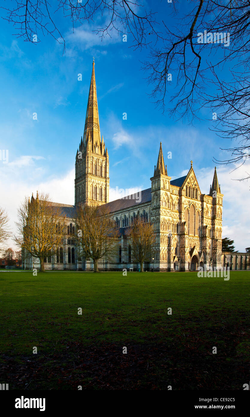 Goldene Abendlicht fällt auf die Westfassade und Turm der Kathedrale von Salisbury, Wiltshire, England, UK Stockfoto