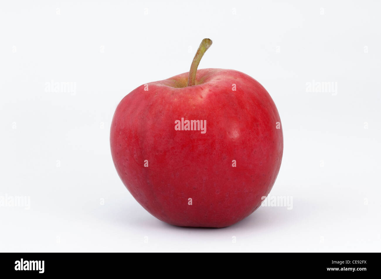 Pfirsich roter Sommerapfel. Apfel, Studio Bild vor einem weißen Hintergrund. Stockfoto