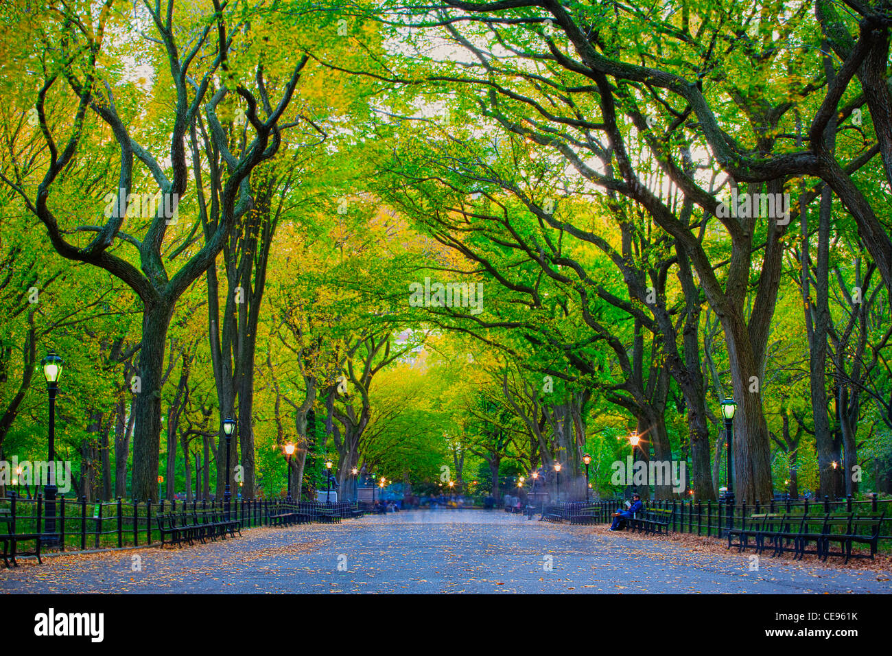Die Mall und literarischen Spaziergang, Central Park Stockfoto
