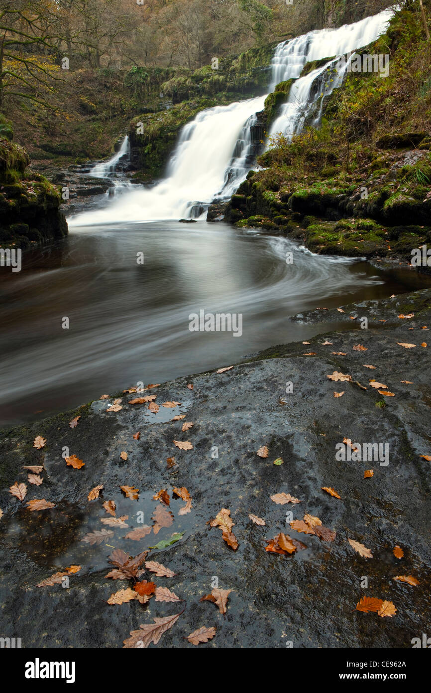 Die Sgwd Isaf Clun Gwyn Wasserfall im Wasserfall Land Teil des Brecon-Beacons-Nationalpark in Wales im Herbst Stockfoto