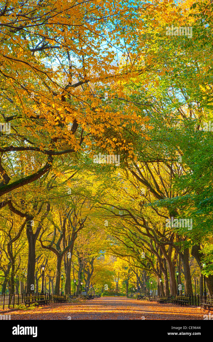 Literarischer Spaziergang im Herbstfarben, Central Park Stockfoto