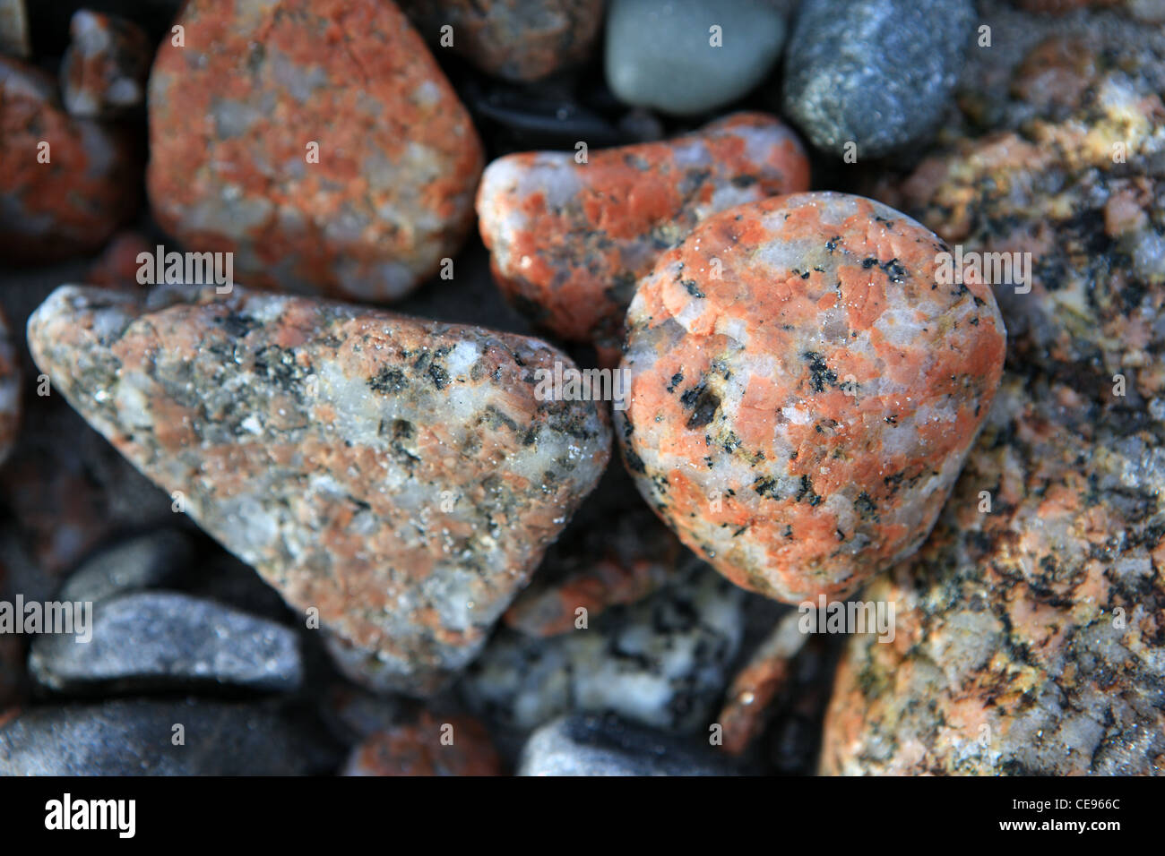 Rosa Granitsteinen am Strand von Fionnphort auf der Isle of Mull Stockfoto