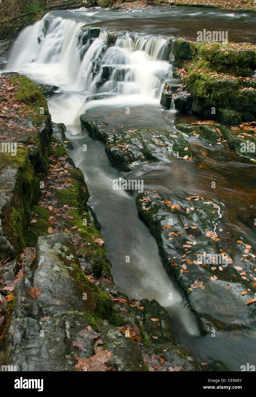 Die Sgwd y Pannwr Wasserfall im Wasserfall Land Teil des Brecon-Beacons-Nationalpark in Wales im Herbst Stockfoto