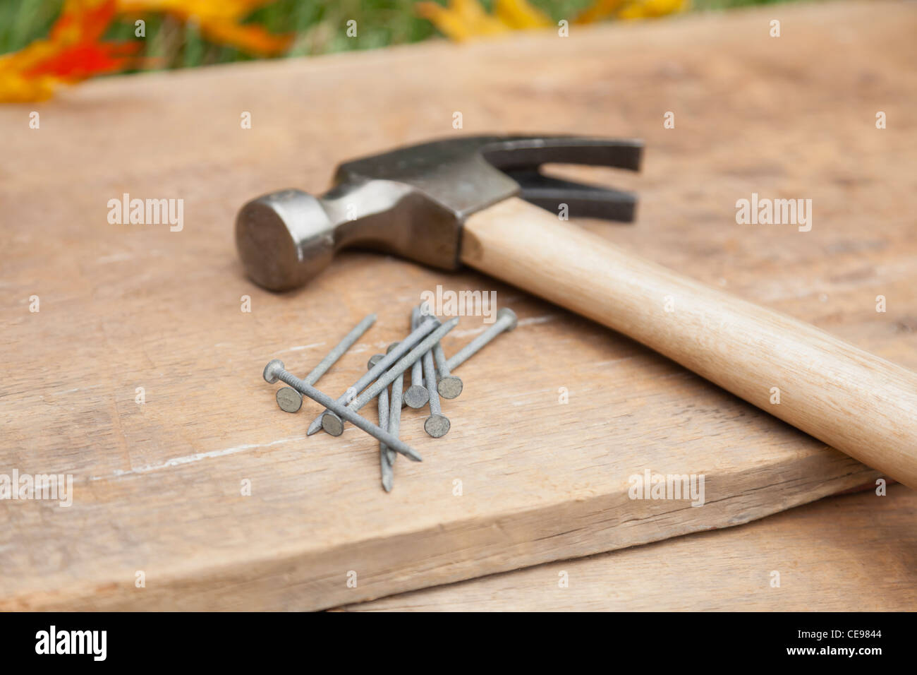 USA, Illinois, Metamora, Hammer und Nägeln auf Holz Stockfoto
