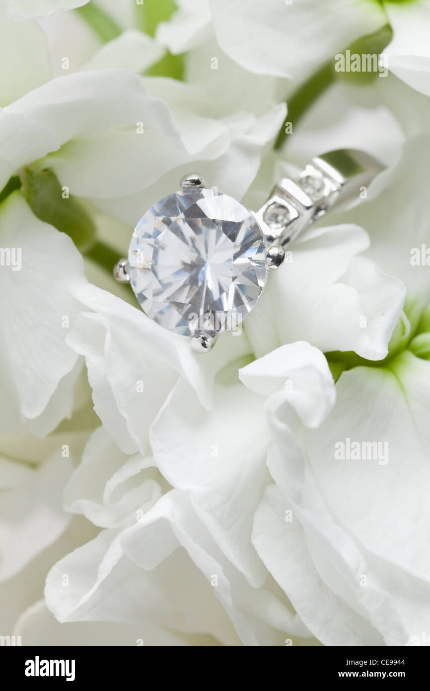 Nahaufnahme von Diamant ring in weißen Blüten Stockfoto