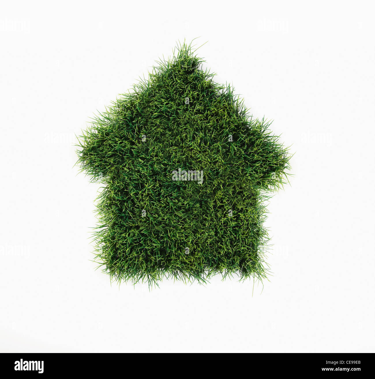 Studioaufnahme des Grases in Form eines Hauses Stockfoto