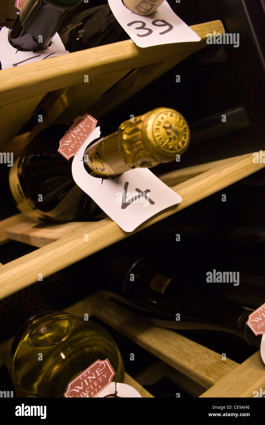 Flaschen Wein im Keller Kühlschrank. Stockfoto