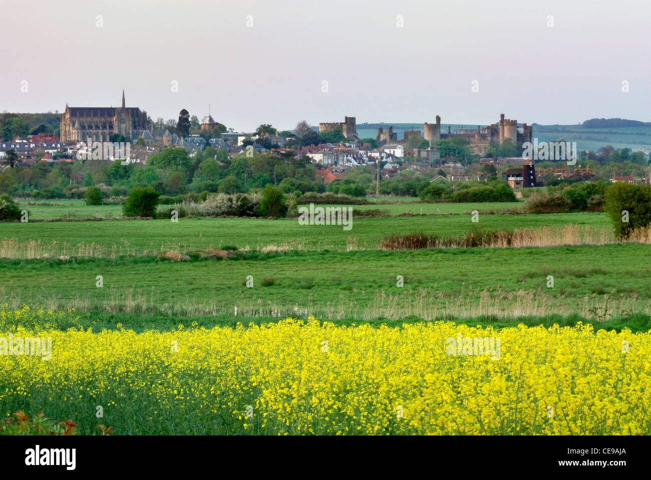 Blick über Felder nach Arundel, West Sussex, England, uk Stockfoto