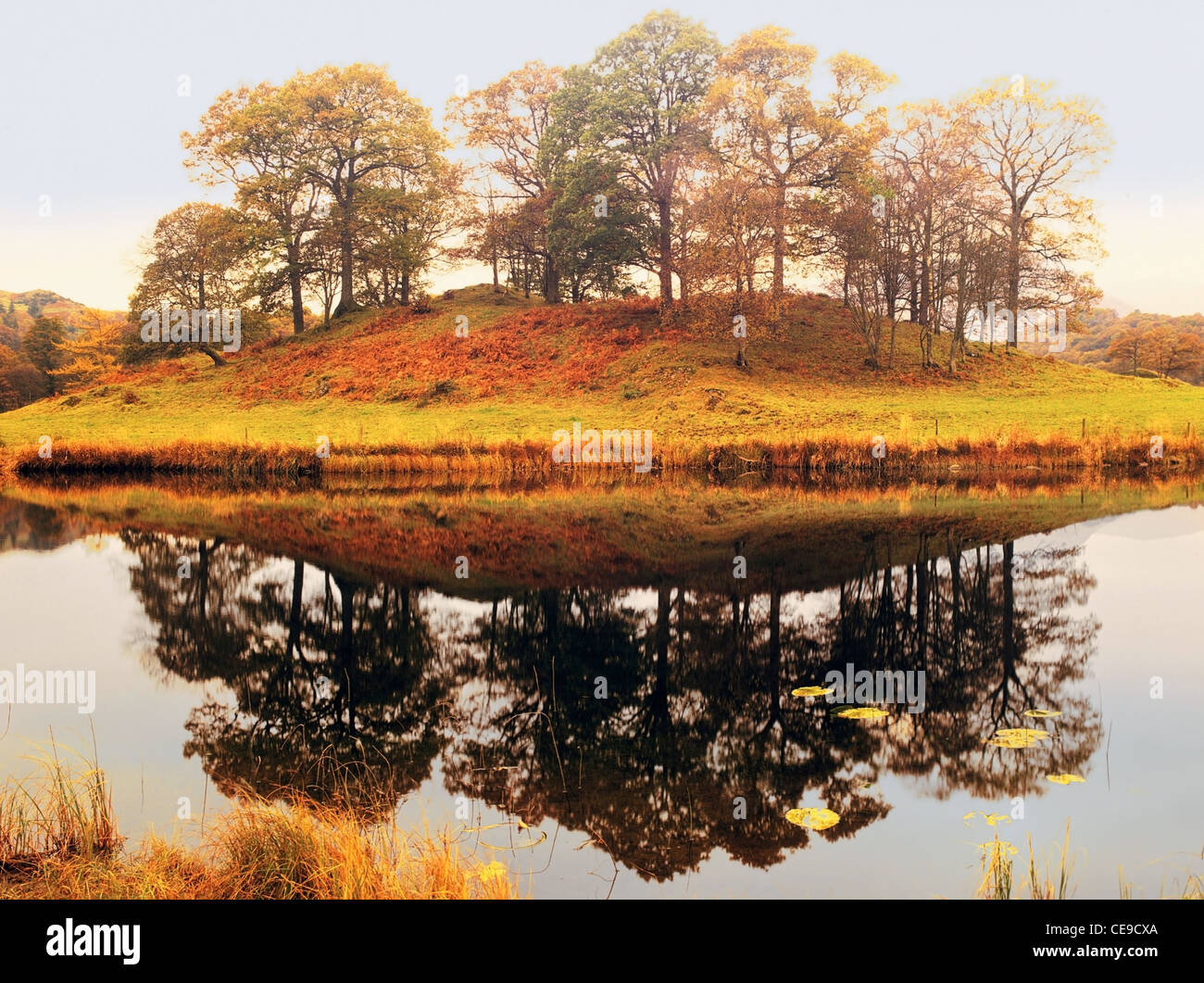 Elterwater im englischen Lake District Cumbria England uk Stockfoto