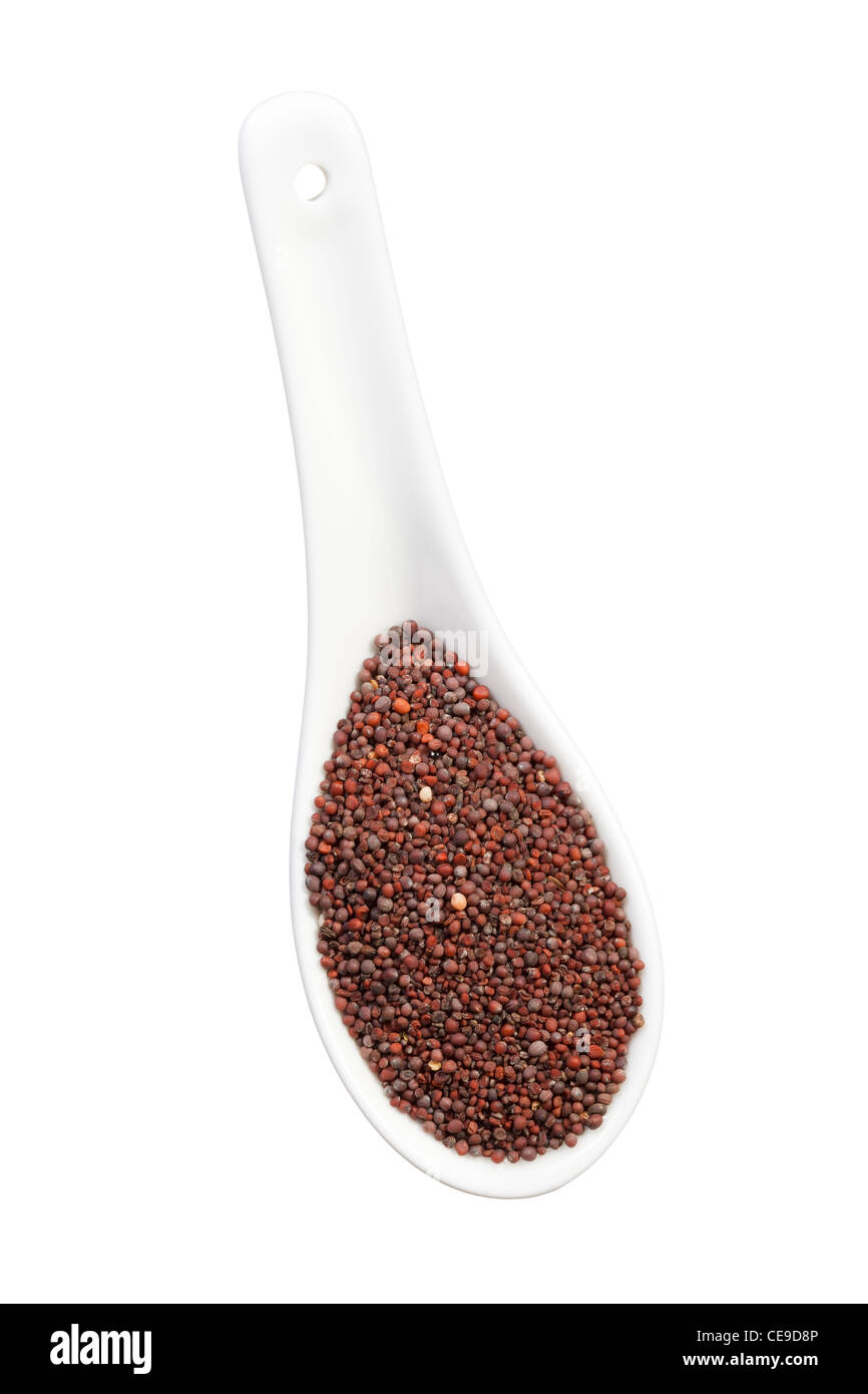 Schwarze Senfsamen Stockfoto