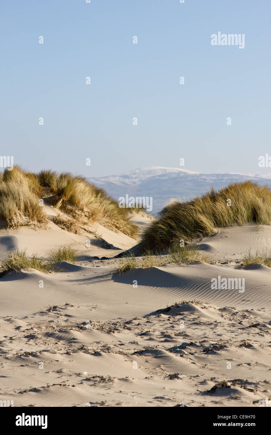 Sanddünen, Maram Gräser und Snow capped Berge Stockfoto