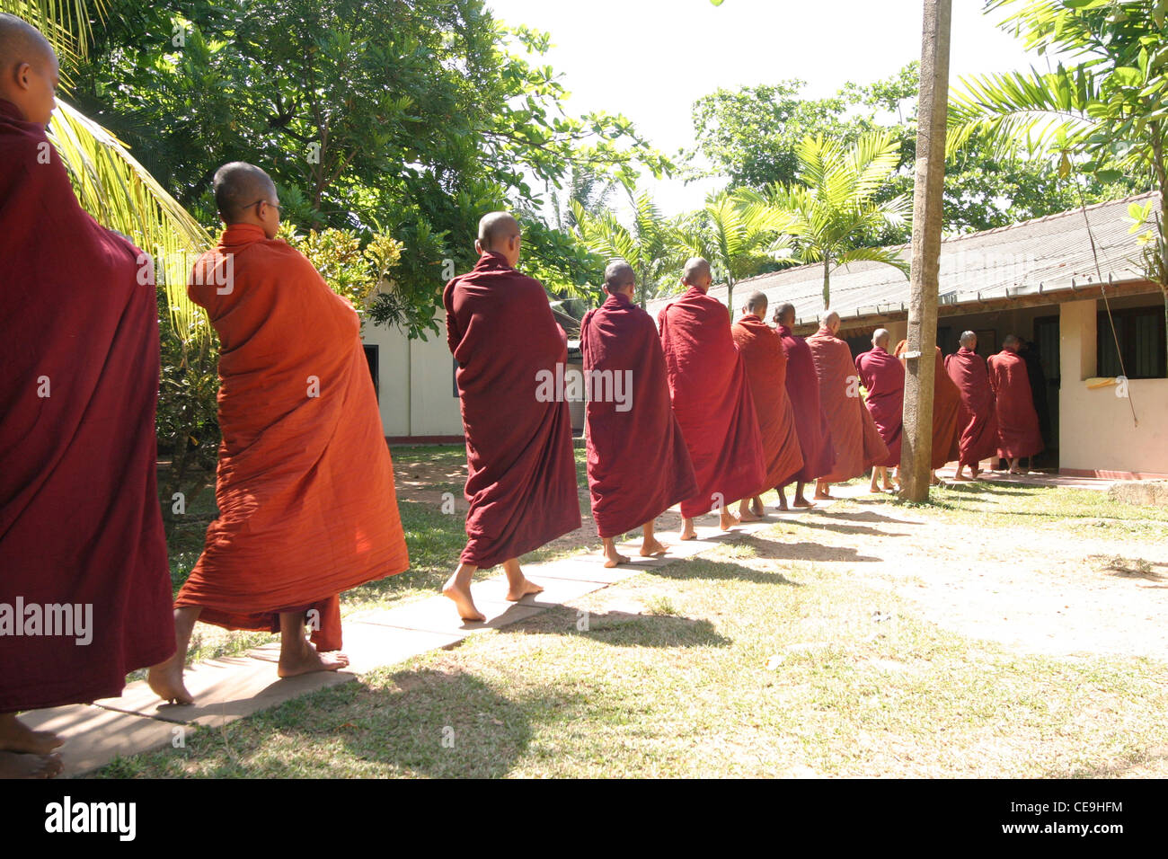 Eine Präzession der junge buddhistische Mönche als sie Rückkehr aus einer Pindapata Zeremonie. Kogalla Tempel Sri Lanka Süd West Stockfoto