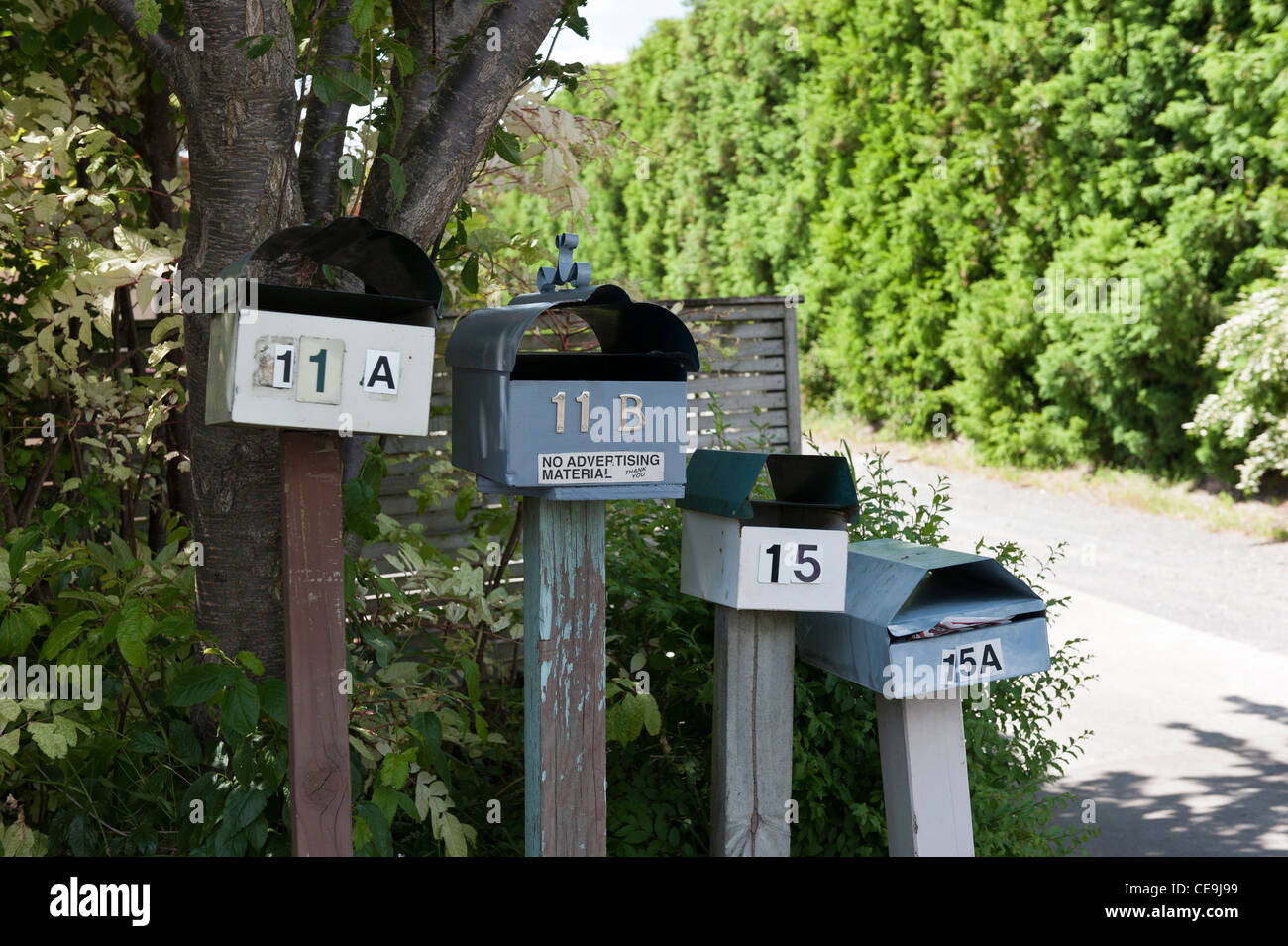 Vier Postfächer zum Jahresbeginn eine gemeinsame Auffahrt in Tauranga, Neuseeland. Zahlen springen von 11 bis 15 ohne Nummer 13 vorhanden Stockfoto