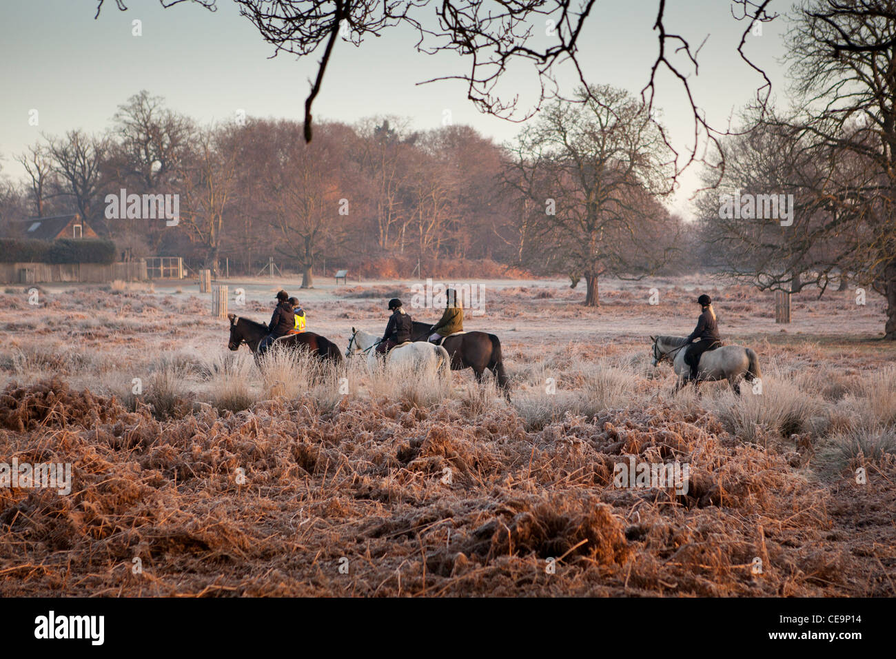Reiter an einem frostigen Wintermorgen im Richmond Park, LONDON, Großbritannien Stockfoto