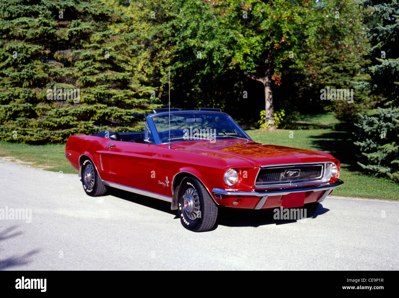 1968 Ford Mustang Stockfoto