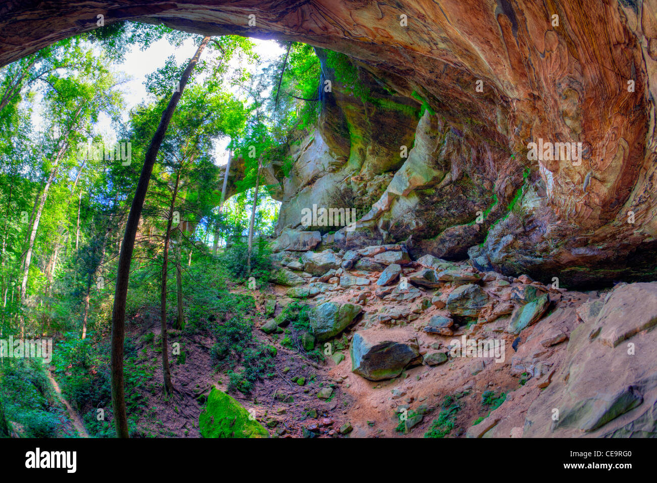 Grays Bogen am Red River Gorge in Kentucky Stockfoto