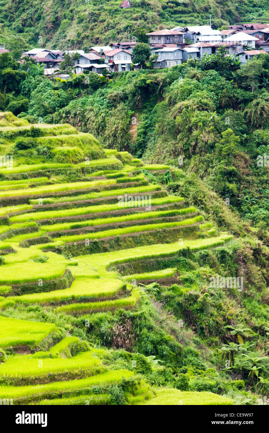 abgelegene Dörfer umgeben von Reisterrassen, Philippinen. Stockfoto