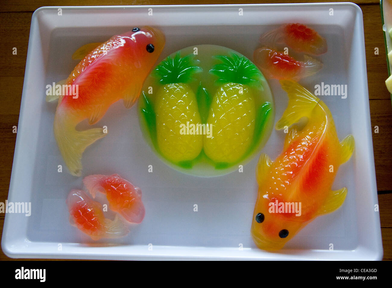 asiatische Agar Quallen Stockfoto