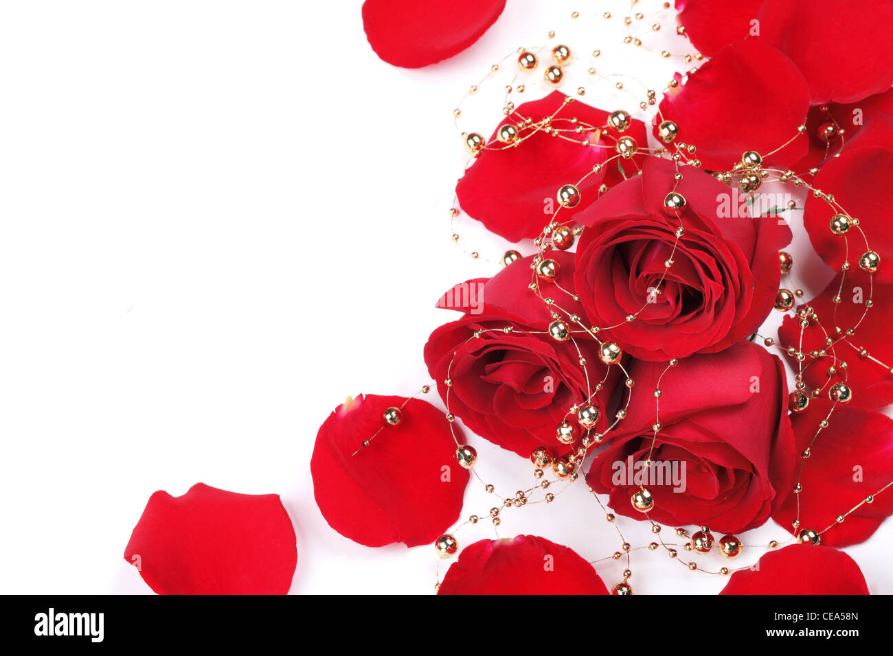 Roten Rosenblättern mit Perlen isoliert auf weiss. Stockfoto