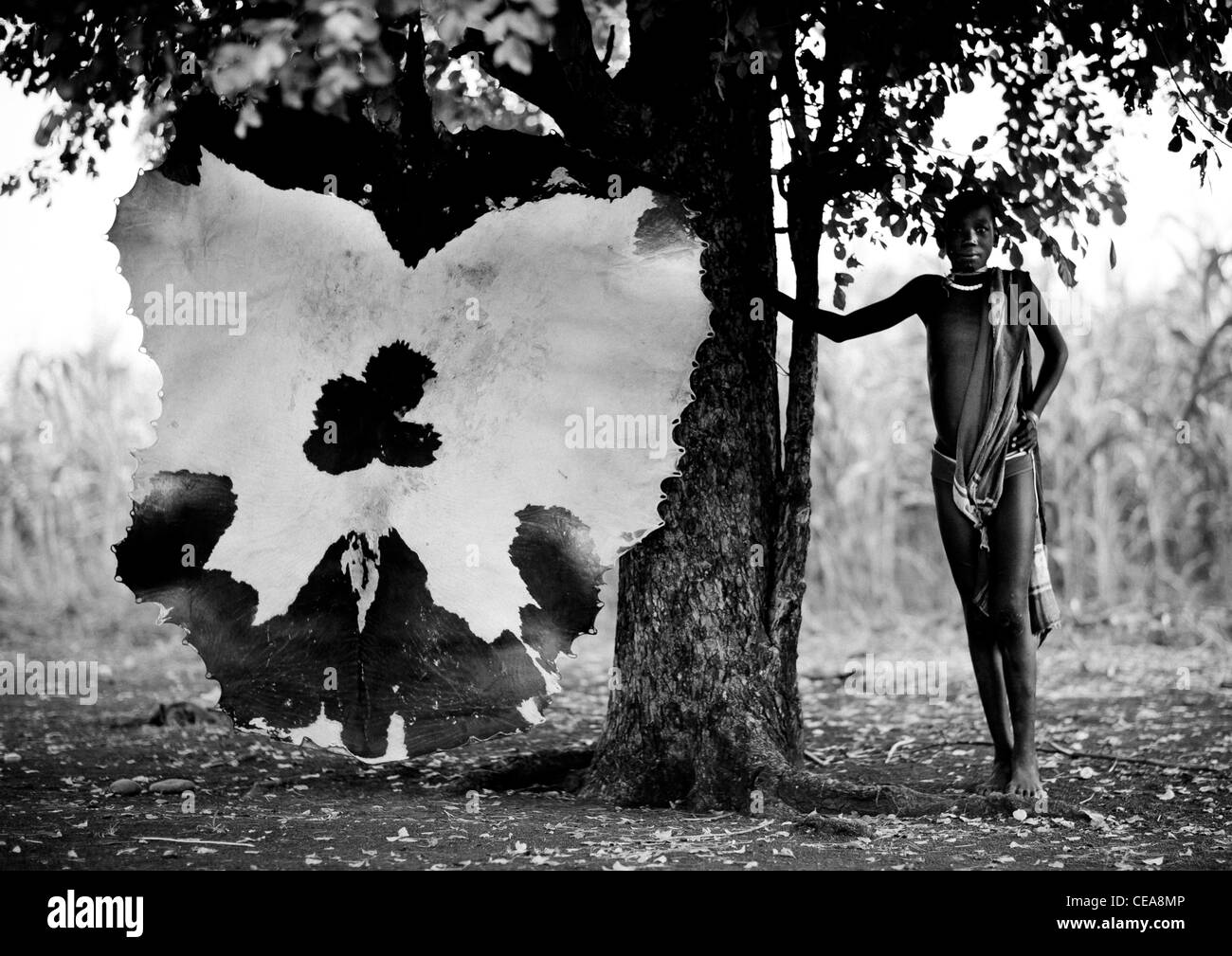 Kuh Haut trocknen unter einen Baum und Bodi Teenager Mädchen Omo-Tal-Äthiopien Stockfoto