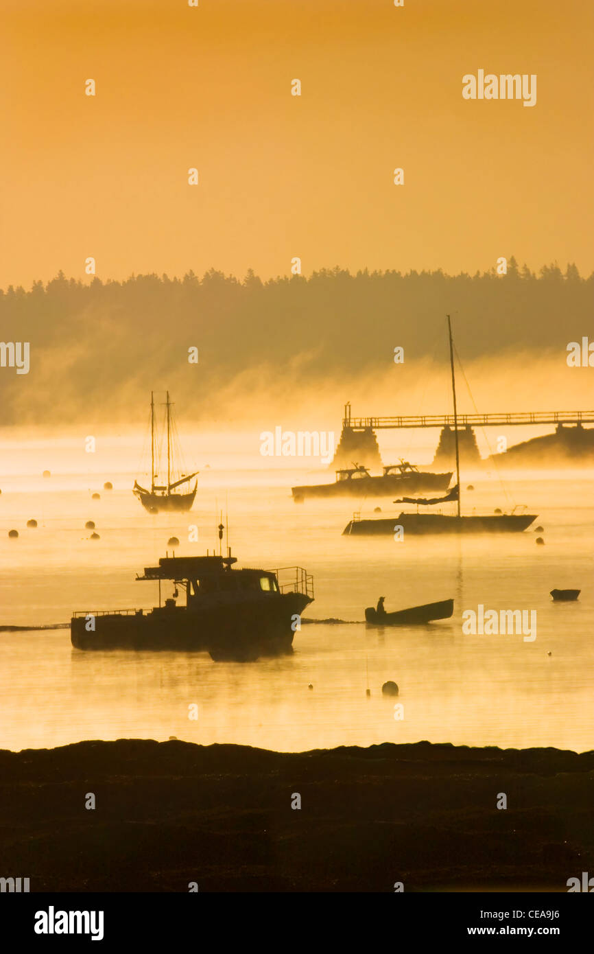 Nebel Sonnenaufgang Southwest Harbor Mount Desert Island Maine. Stockfoto