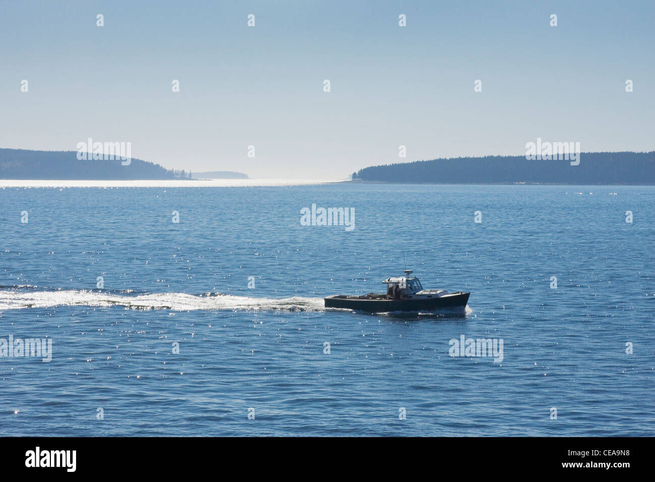 Boot und Inseln Acadia Nationalpark Maine Hummer Stockfoto
