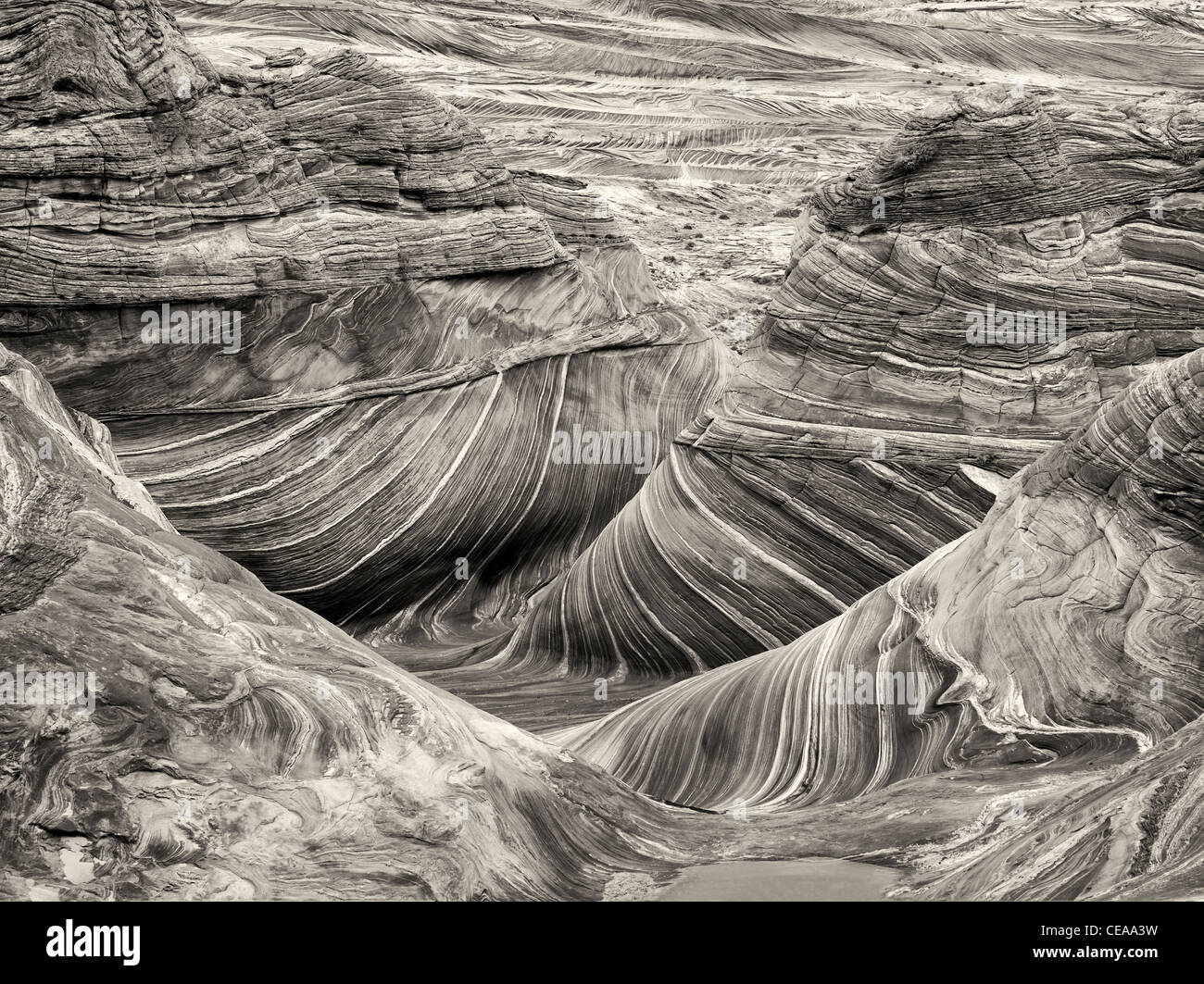 Sandtone Bildung in North Coyote Buttes, The Wave. Paria Canyon-Vermillion Cliffs Wilderness. Utah und Arizona Stockfoto