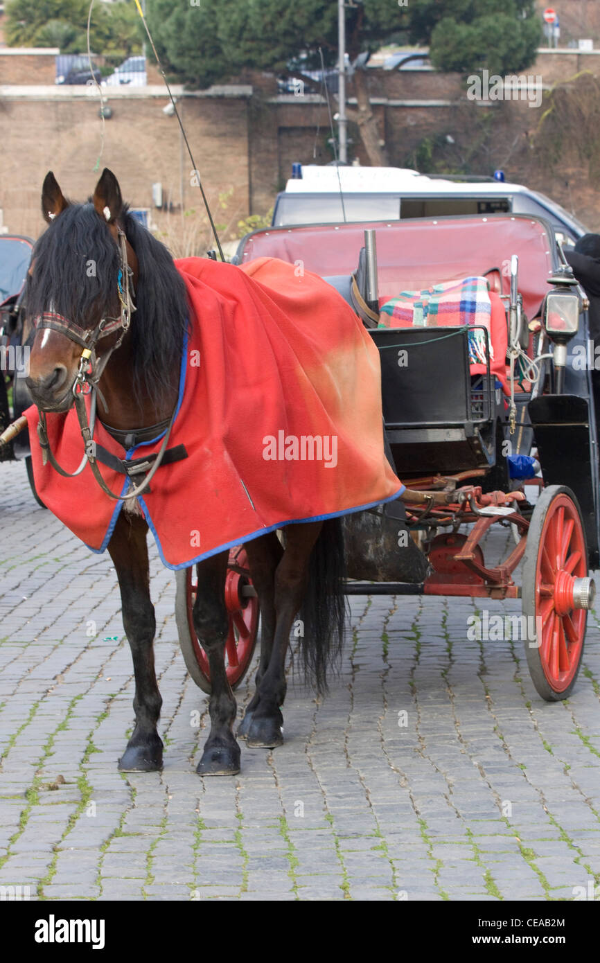 Pferd und Wagen wartet auf Touristen nehmen auf eine Tour durch die Straßen von Rom Italien Stockfoto