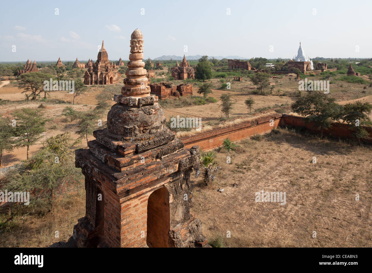 Tal der tausend buddhistische Pagoden in Bagan, Birma. Stockfoto