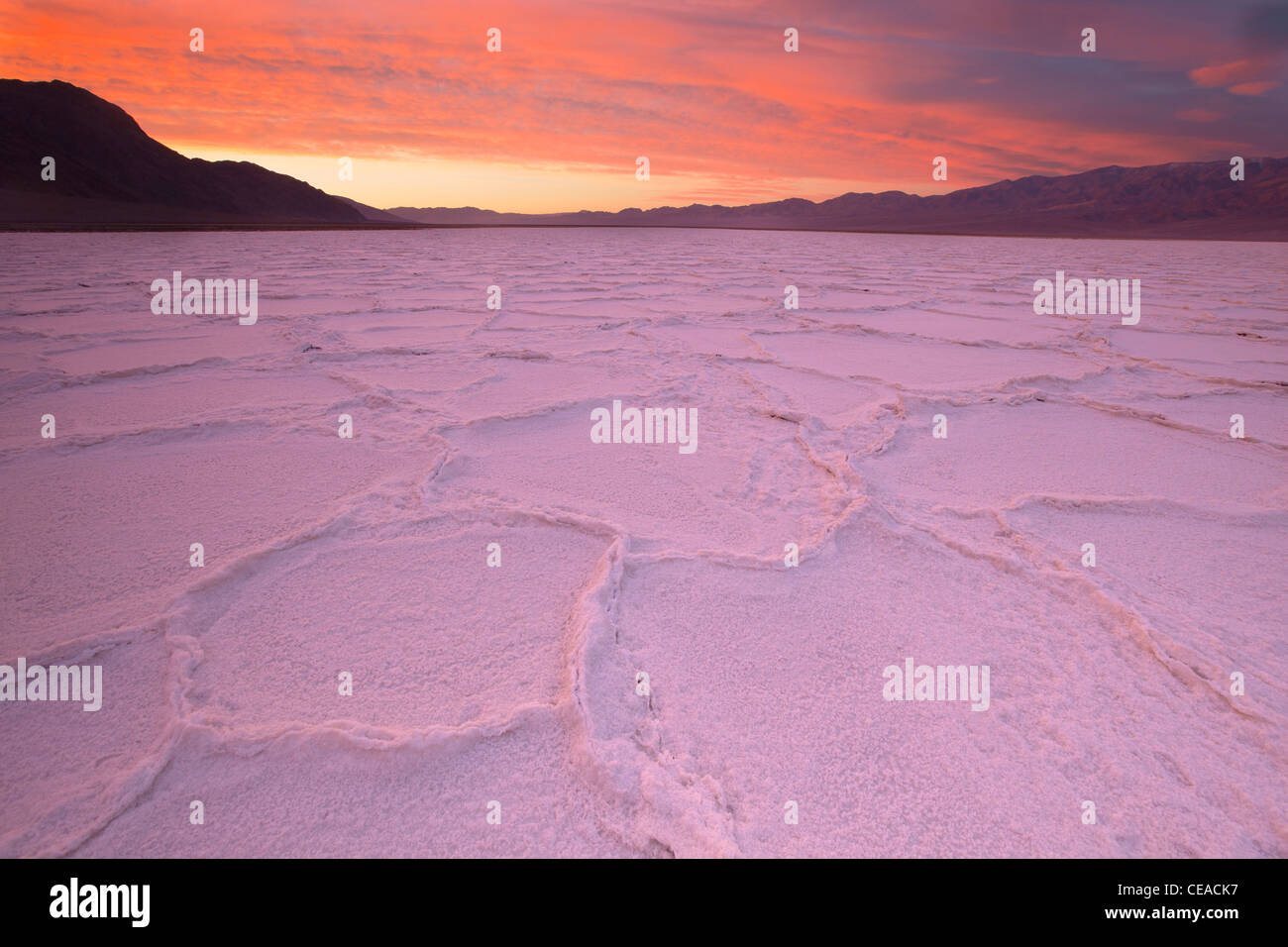 Sonnenaufgang über dem Salz Polygone und Muster am Salzsee Badwater im Death Valley Nationalpark, Kalifornien, USA Stockfoto
